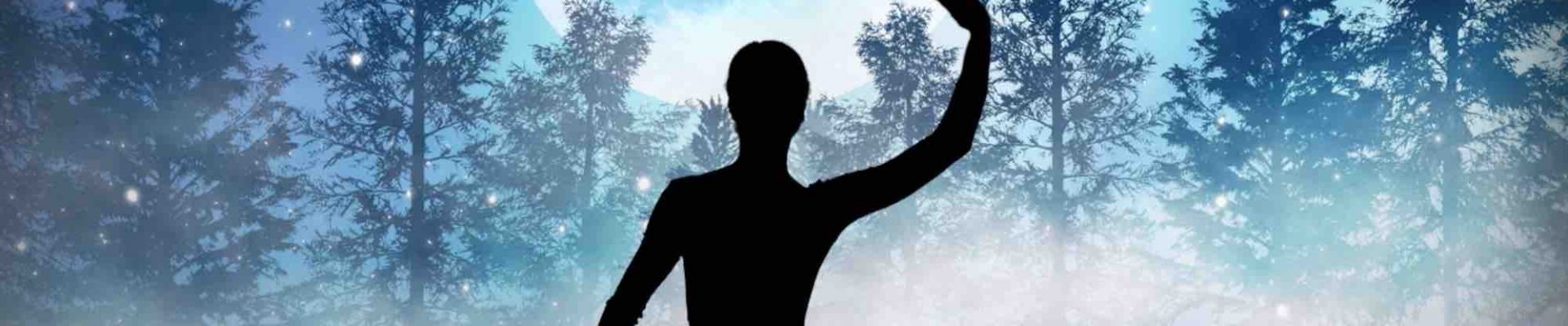 Virtual-Christmas-Shadow-Show-Ballerina Virtual-Christmas-Shadow-Show-Ballerina