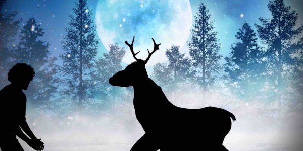 Virtual-Christmas-Shadown-Show-Reindeer