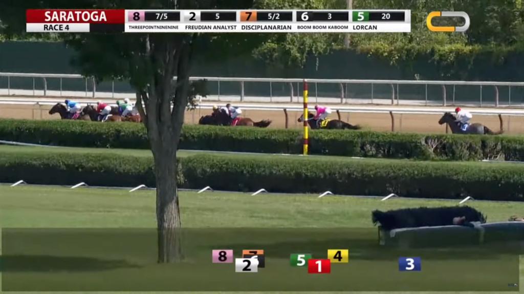 Virtual horse racing experience available to book for team building online events