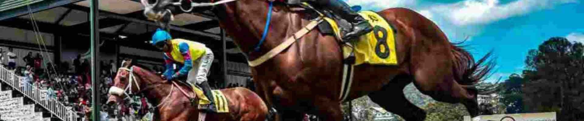 Virtual-Horse-Racing-Game-Experience