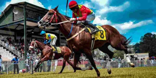 Virtual-Horse-Racing-Game-Experience