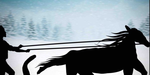 Christmas-Shadow-Show-E-Card-Example