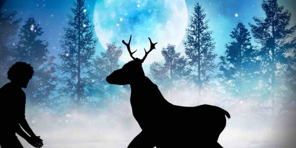 Online-Christmas-Shadow-Show-E-Card