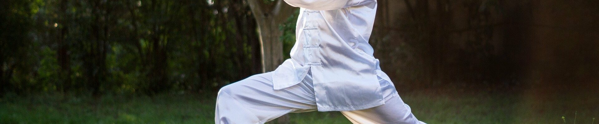 Virtual-Tai-Chi-Team-Building-Workshop