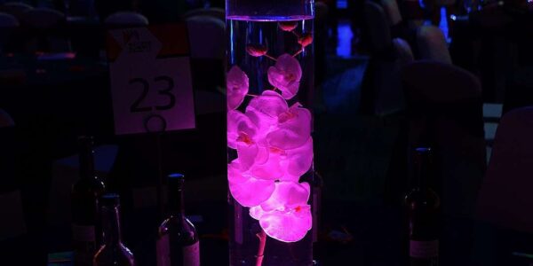Illuminated pink floating flower table centrepiece for events.