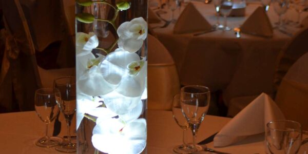 Beautiful floating Orchid table centrepiece, ideal for gala dinners.