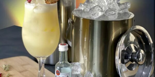 Virtual-Cocktail-Party-Package