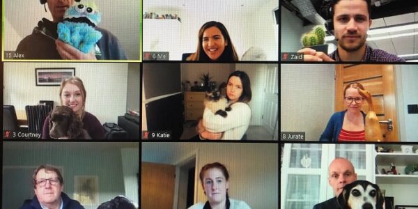 Virtual-Team-Building-Seal-The-Deal-Mini-Game