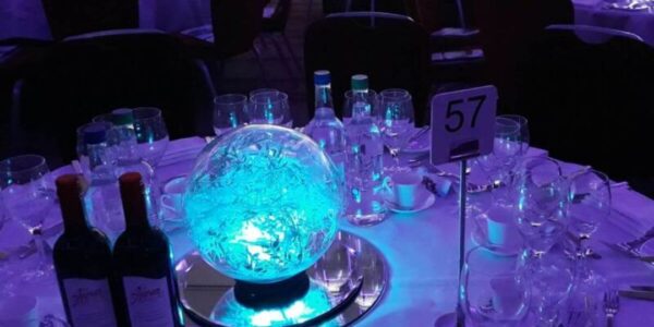 Glowing-Blue-Winter-Wonderland-Table-Globe