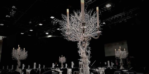 White Natural Candelabra centrepiece