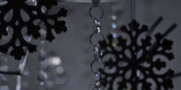 Snow-Flake-Detail-From-Crystal-Tree