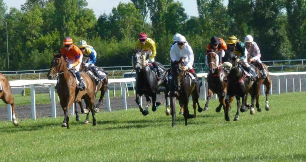 Jockeys racing horses on a race track virtually on Zoom as part of our Virtual Horse Racing experience.