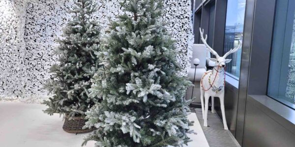 Decorative pine tree props and reindeer with a white backdrop styling Freshas headquarters for their Christmas party event production.