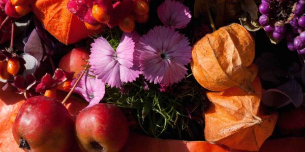 Autumnal-Pumpkin-Workshop