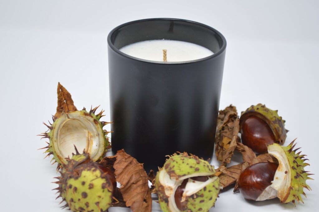 Candle surrounded by conkers created in Autumn candle making workshop