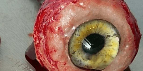 SFX-Halloween-Makeup-Artist-Eyeball