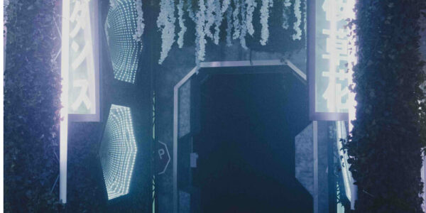 Sidemen-Party-Event-Entrance
