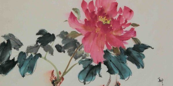 Chinese-Painting-Of-Pink-Peony