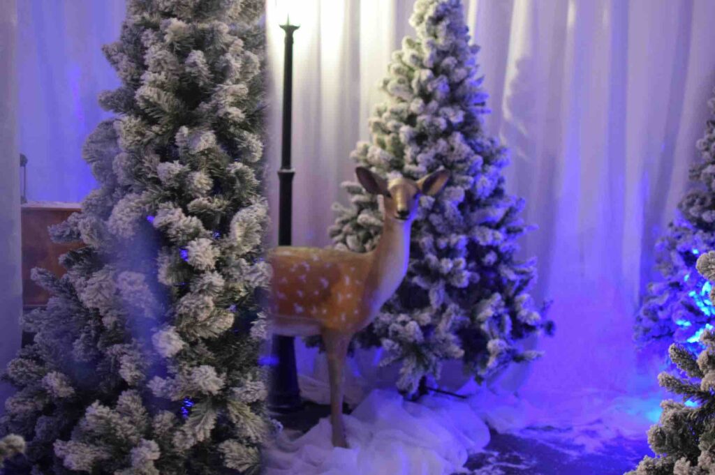 Deer, Christmas tree, fake snow and lamp post props used to decorate winter wonderland area.