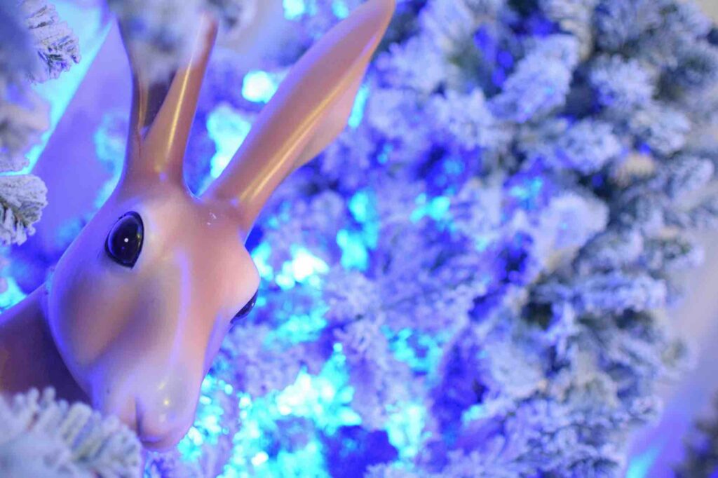 Winter hare prop and snow covered Christmas tree props used to create winter wonderland zone.