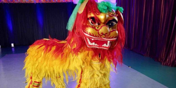 Chinese-Lion-Dancers-Themed-Meet-And-Greet