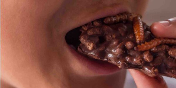 Virtual-Eating-Trail