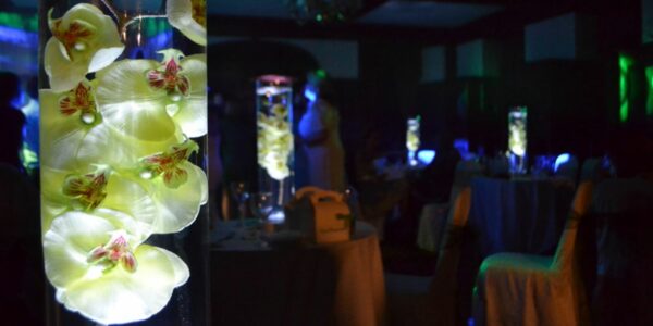 Orchid-Floating-Floral-Centrepiece-Close-Up
