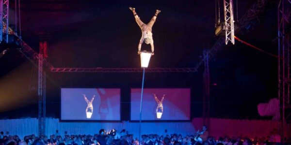 Sway-Pole-Entertainment-Act