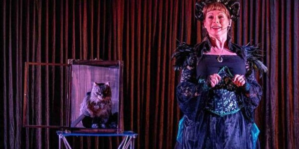 Victorian-Magician-Act-Cat-In-A-Box