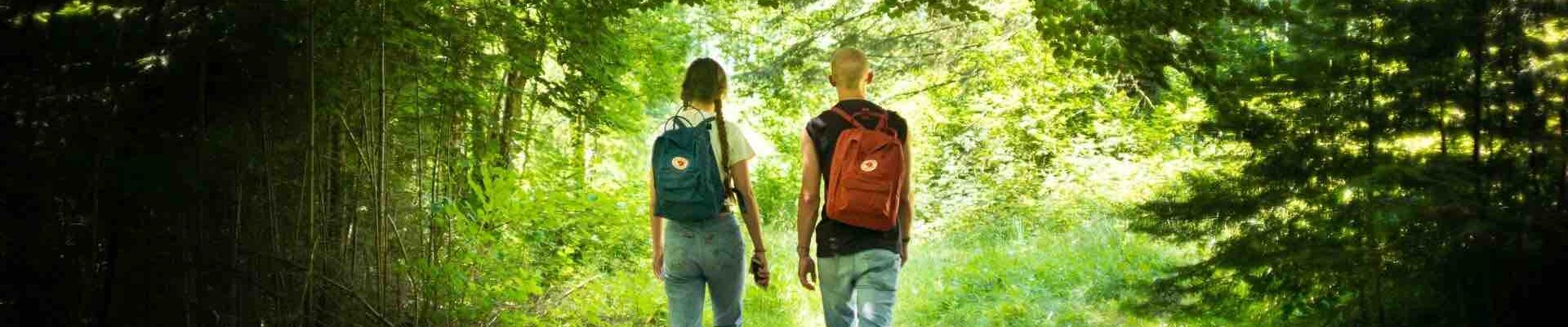 Corporate-Walking-Activity
