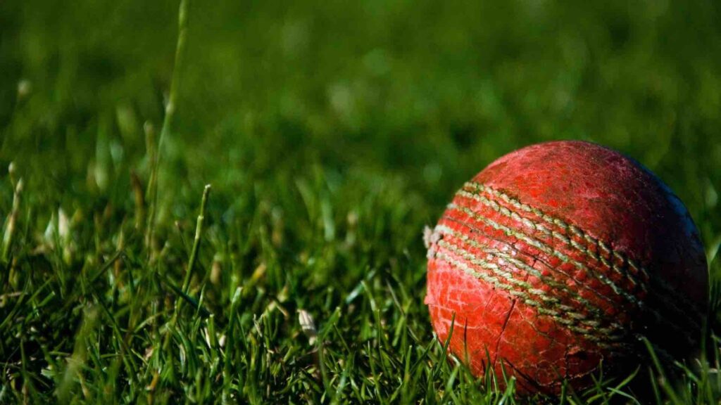 Cricket ball lying in grass field