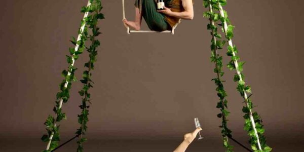 Enchanted-Fairy-Aerial-Performers