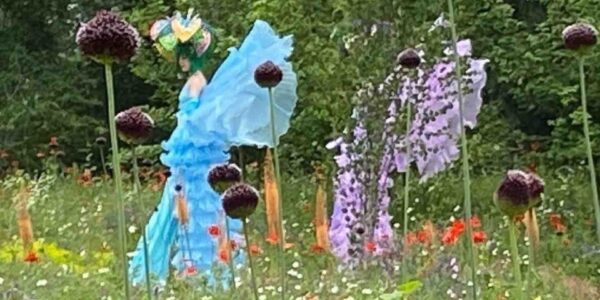Flower-Stilt-Walker-In-Grassy-Flowers