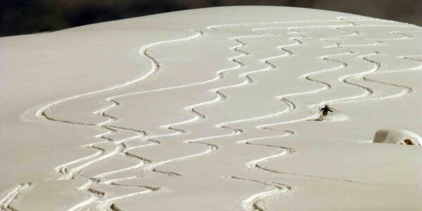 Snow-Trail-Clues