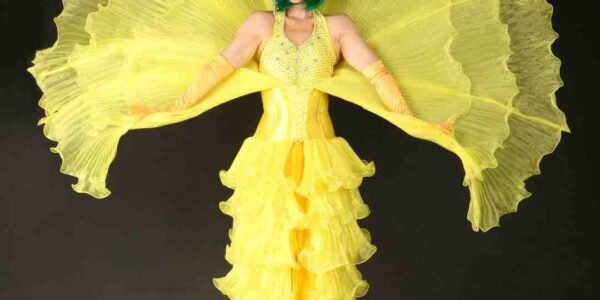 Yellow-Flower-Stilt-Walker