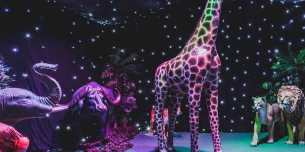 Jungle-Animal-Themed-Event