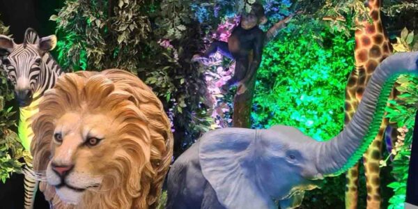 Jungle-Animals-Props-Themed-Event