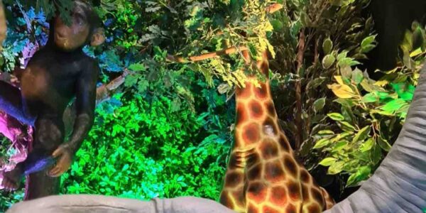 Jungle-Themed-Event