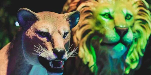 Lion-Props-For-Jungle-Theme