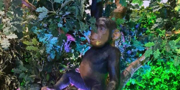 Monkey-Jungle-Prop-Hire