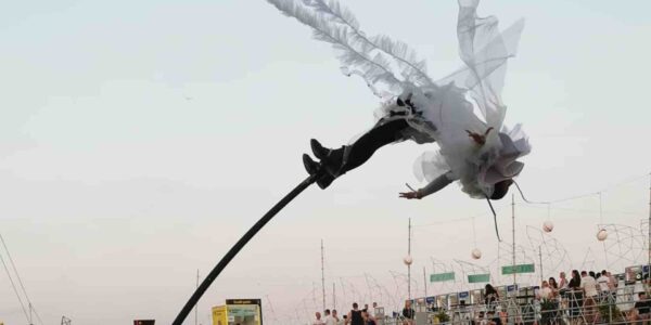 Ruffle-Sway-Pole-Performer