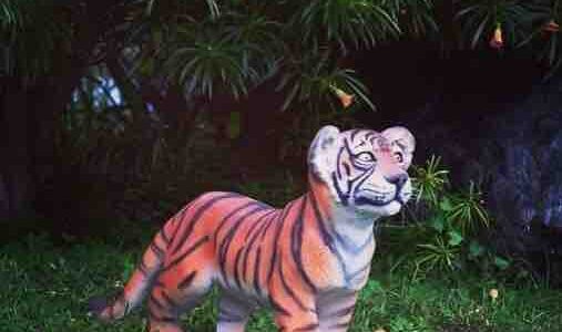 Tiger-For-Jungle-Themed-Event