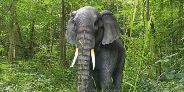 Animatronic-Elephant-Walkabout-Character