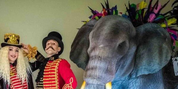 Circus-Festival-Elephant-Entertainment