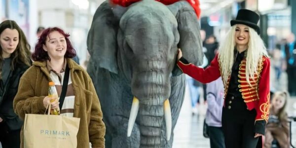 Elephant-For-Hire