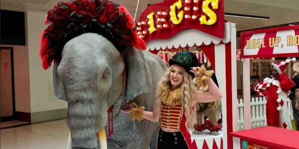 Elephant-For-Rent-Carnival-Entertainment