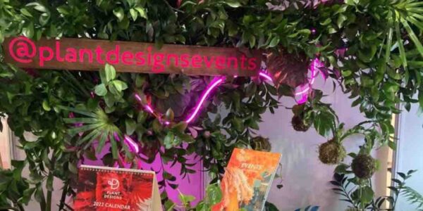 Fruit-Themed-Catering-For-Product-Launch