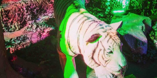 Jungle-Event-Theming
