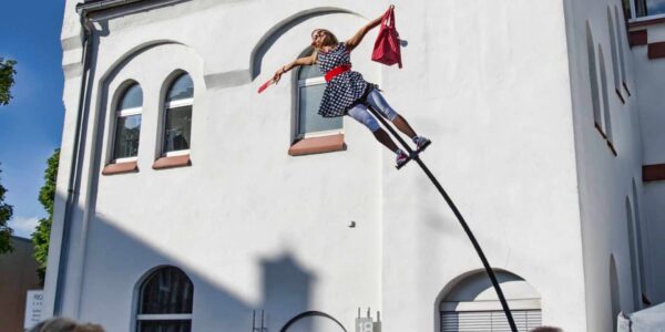 Sway-Pole-Act-With-Handbag-Prop