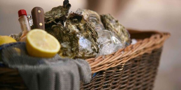 Unique-Oyster-Basket-For-Events